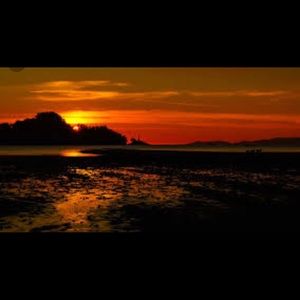 Meet your Posher, Suzanne